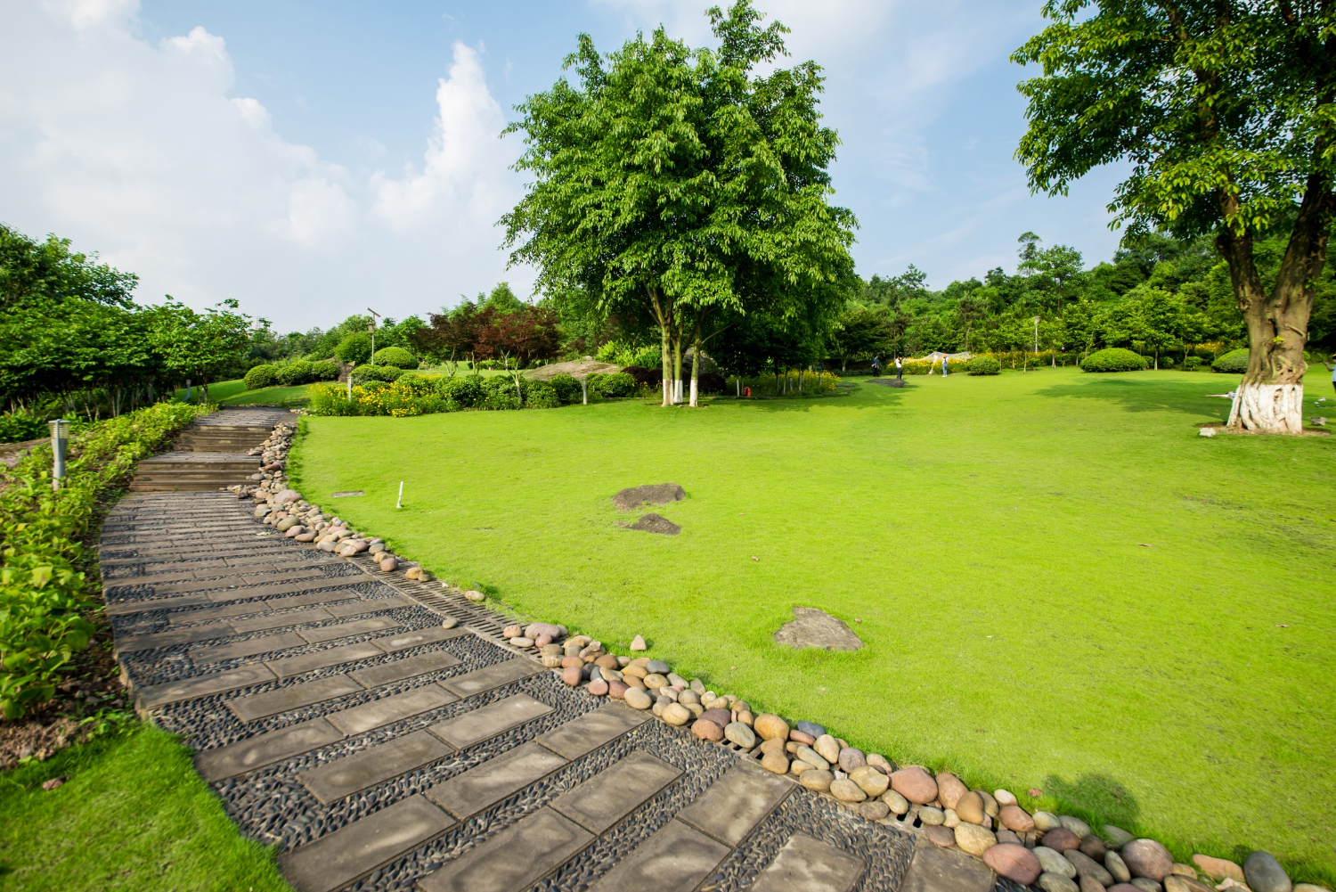 Grassland landscape and greening environment park background Grassland landscape and greening environment park background