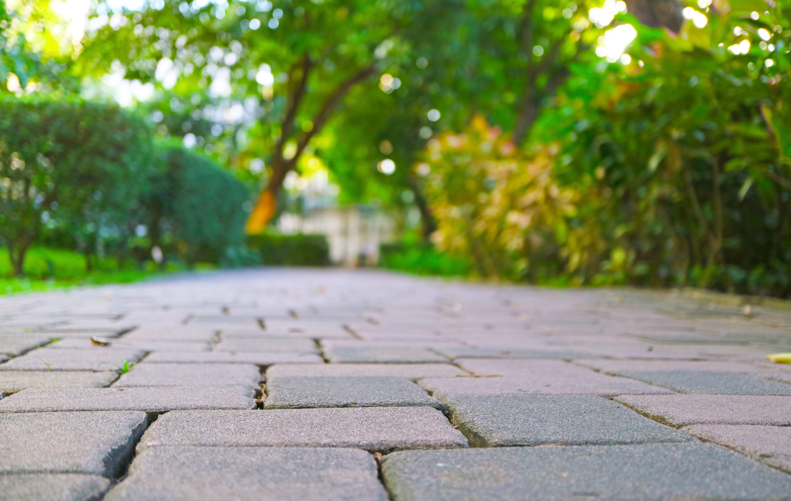 Closeup of garden pathway with blurry green foliage in the backdrop skill-image1-1