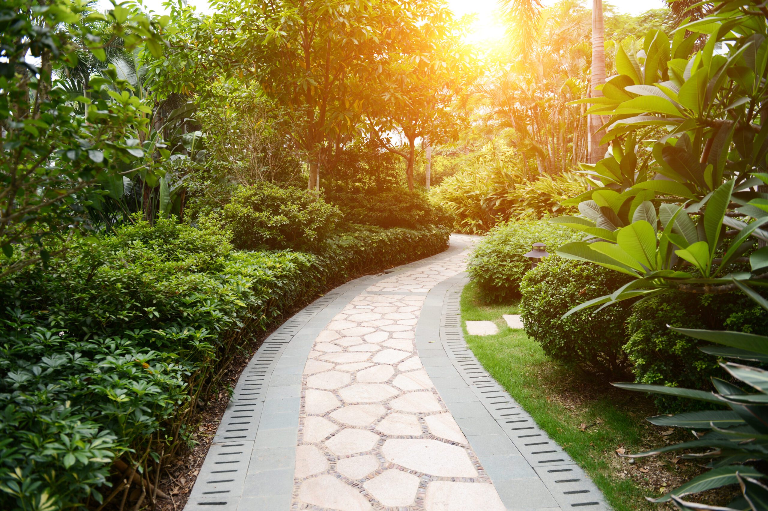 before-and-after-img-2